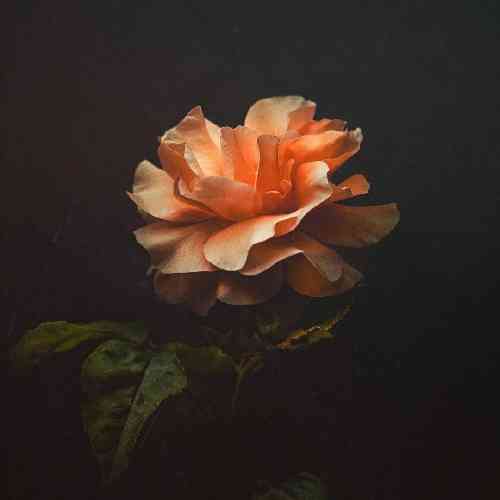 محمد خرم دره حق با توئه باشه تو خوبی من بدم